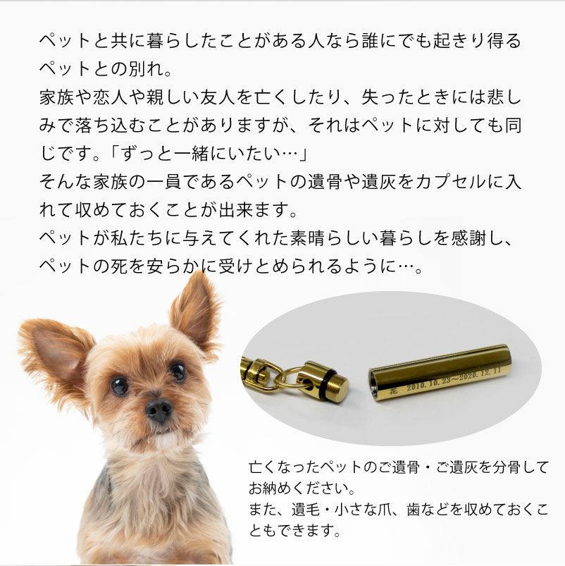 【名入れ対応】遺骨カプセル キーホルダー スリム オモイデノアカシ ゴールド シルバー ペット 思い出