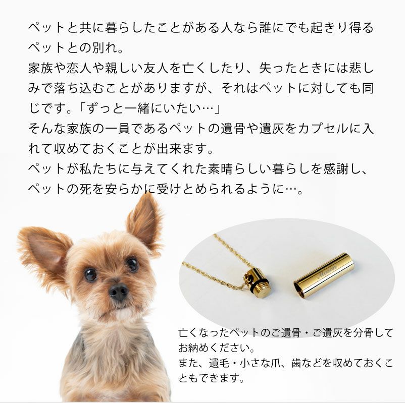 【名入れ対応】遺骨カプセル ネックレス スリム 真鍮 オモイデノアカシ ゴールド シルバー ペット 思い出