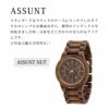 WEWOOD ASSUNT NUT 木の腕時計 ウィーウッド