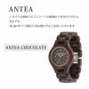 WEWOOD ANTEA CHOCOLATE 木の腕時計 ウィーウッド