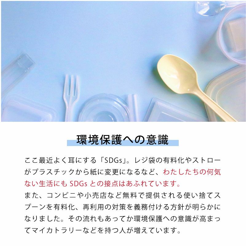 【名入れ対応】カトラリーセット 携帯用 お箸 スプーン フォーク マイカトラリー 名入れ彫刻 ラディッシュブラウン グリーン ブルー 持ち運び SDGs 学校 職場 アウトドア キャンプ