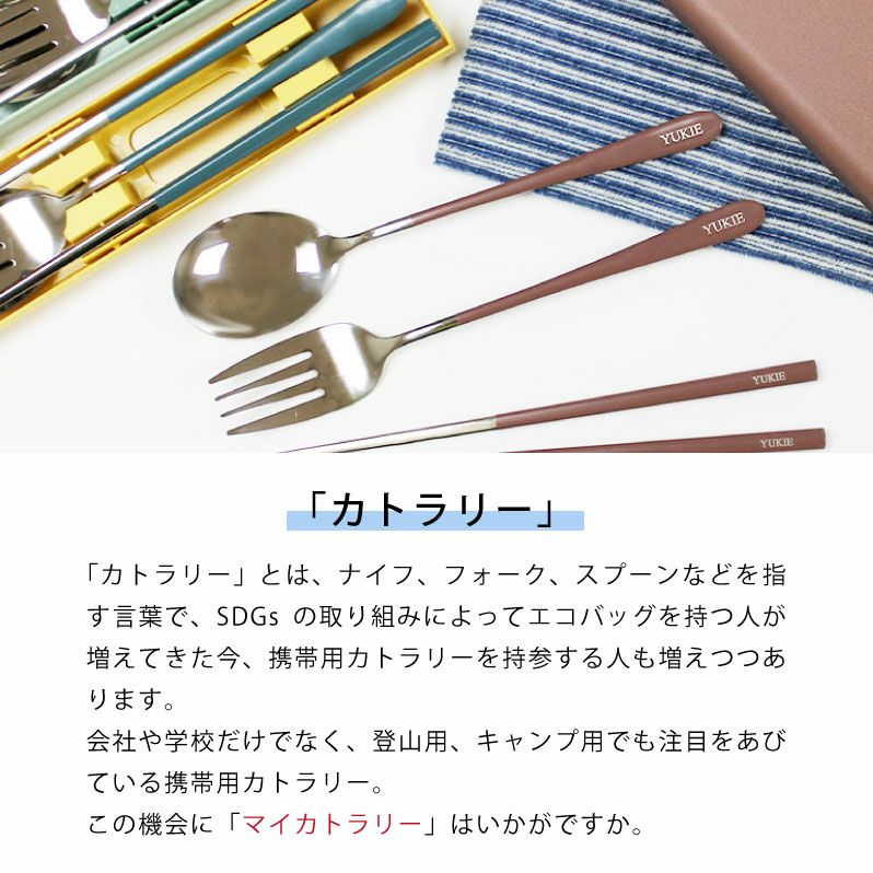 【名入れ対応】カトラリーセット 携帯用 お箸 スプーン フォーク マイカトラリー 名入れ彫刻 ラディッシュブラウン グリーン ブルー 持ち運び SDGs 学校 職場 アウトドア キャンプ