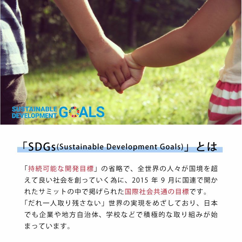 【名入れ対応】カトラリーセット 携帯用 お箸 スプーン フォーク マイカトラリー 名入れ彫刻 ラディッシュブラウン グリーン ブルー 持ち運び SDGs 学校 職場 アウトドア キャンプ