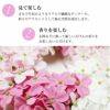 花のカタチの入浴剤 桜リース バスフレグランス 壁掛け SAKURA 贈り物 ギフト 母の日 誕生日 結婚祝い 新築祝い