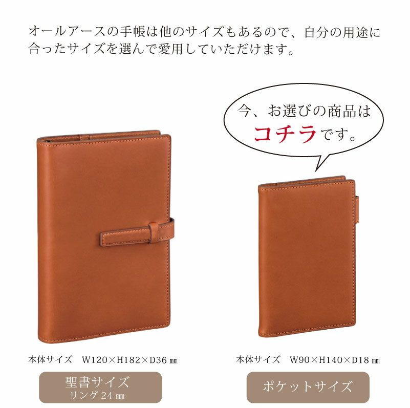 ダヴィンチ Davinci システム手帳 オールアース Allearth スリムポケットサイズ ブラウン 11mm ミニ6