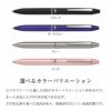 PILOT パイロット　フリクションボール2　ビズ　黒赤ボールペン　回転式