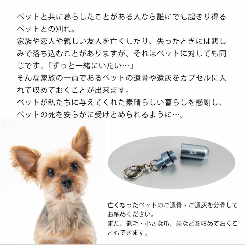 【名入れ対応】遺骨カプセル キーホルダー Sサイズ ライトピンク ライトブルー ペット 思い出 遺灰 オモイデノアカシ