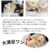  リファーレッシュ Refuresh スクラッチャーブラシ M 中・大型犬用 犬 猫 ペット抜け毛用ブラシ 長毛種 短毛種 中毛種 お手入れ