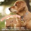 【名入れ彫刻/両面】ネームプレート タグ ID 迷子札 骨型 ペット 犬 アルミニウム 二重カン付 両面彫刻 愛用の首輪に装着可能 超小型犬 小型犬 中型犬 大型犬