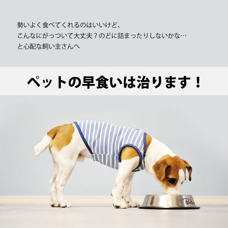 【名入れ対応】フードボウル 食器 早食い防止 ペット 犬 中型犬 大型犬 餌 エサ ごはん えさ皿 スローフード ピンク グリーン ブルー