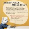 【名入れ】 【選べるシルエットデザイン】リード 自動巻取り式 伸縮 犬用 コードタイプ ラメカラー 伸縮リード ペット 犬 小型犬 超小型犬 ドッグラン ラメピンク ラメブルー ラメイエロー