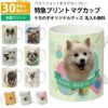 【オリジナルプリント】特急プリント マグカップ フォトプリント オーダーメイド 名入れ うちの子グッズ 犬 猫 ペット 孫 ギフト ノベルティ 記念品 誕生日 クリスマス