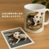【オリジナルプリント】特急プリント マグカップ フォトプリント オーダーメイド 名入れ うちの子グッズ 犬 猫 ペット 孫 ギフト ノベルティ 記念品 誕生日 クリスマス