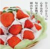 岡山・長崎県産 かご盛り苺 M ゆめのか苺又は恋みのり 550g 1月～2月下旬出荷 冷蔵 御祝い 内祝い 祝い事 御歳暮 御中元 パーティー 