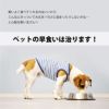 【名入れ対応】フードボウル 食器 早食い防止 ペット 犬 中型犬 大型犬 餌 エサ ごはん えさ皿 スローフード 大きいサイズ 