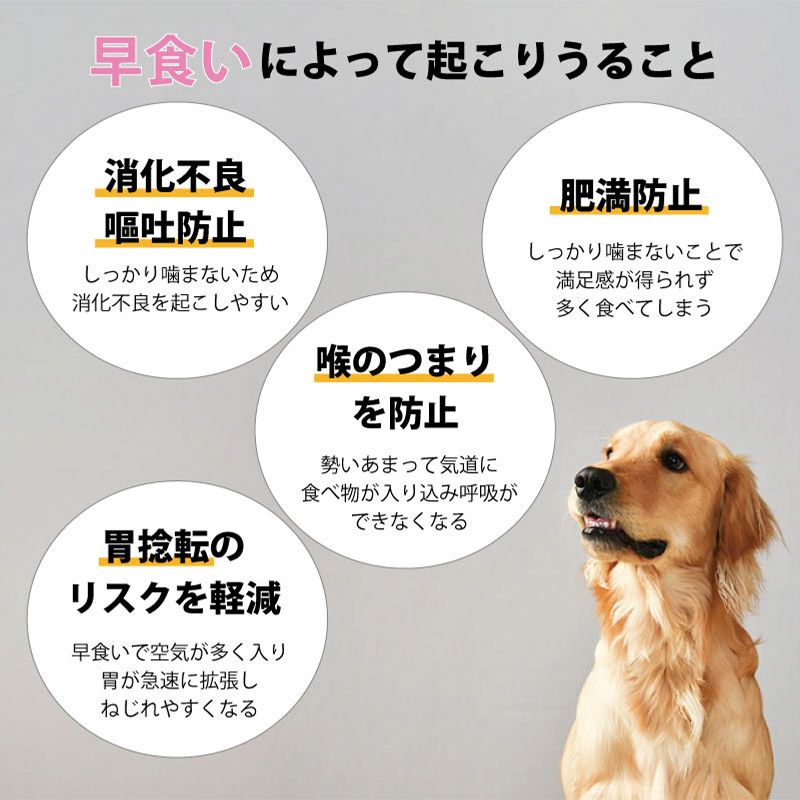 【名入れ対応】フードボウル 食器 早食い防止 ペット 犬 中型犬 大型犬 餌 エサ ごはん えさ皿 スローフード 大きいサイズ 