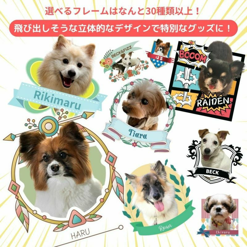 【写真入れ/名入れ無料】 特急プリント オリジナルコースター ソフトコースター ラウンドホワイト 写真プリント 全面プリント オーダーメイド ペット うちの子グッズ 犬 猫 孫 テーブルウェア カフェ 記念 ギフト メモリアル 思い出 景品 誕生日 プレゼント